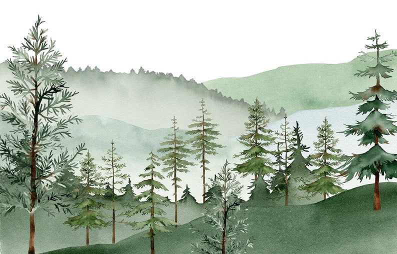 Pine Tree Wallpaper Forest Kids Wallpaper Forest Wall Mural Peel and Stick Mural Image 5