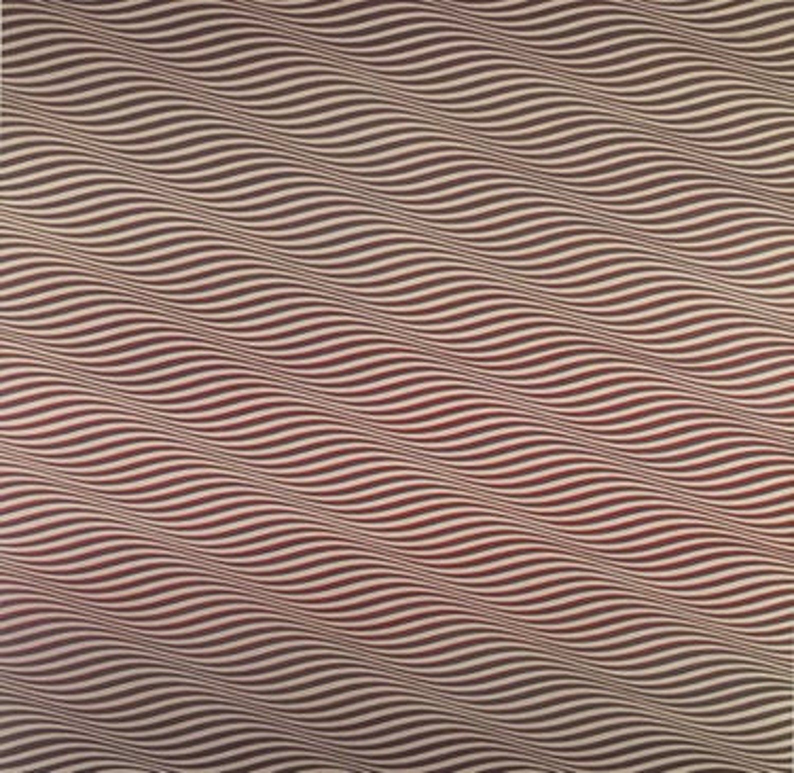 Bridget Riley Cataract 3 1967 Photolitho Etsy