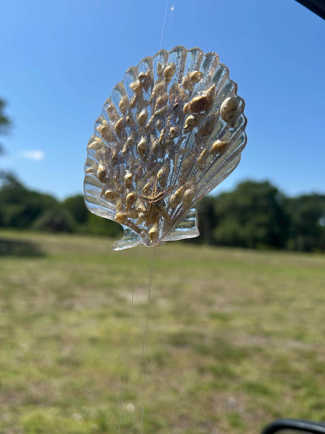 Clear Sea Shell Wind Chime - Etsy