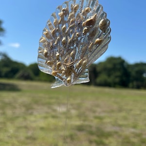 Clear Sea Shell Wind Chime