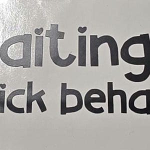 Op de afbeelding: Een witte sticker met zwarte tekst: "tailgaiting is small dick behavior!". Een skelet hand die de middelvinger opsteekt staat rechts op de sticker.