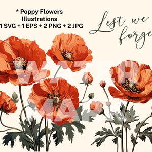 Klaproos bloem SVG Poppy Geïllustreerde klaprozen clipart klaproos set bloemen clipart botanische bundel kleuren klaproos lineart boeket bloem tekening