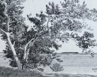 Manglares 5 - acuarela