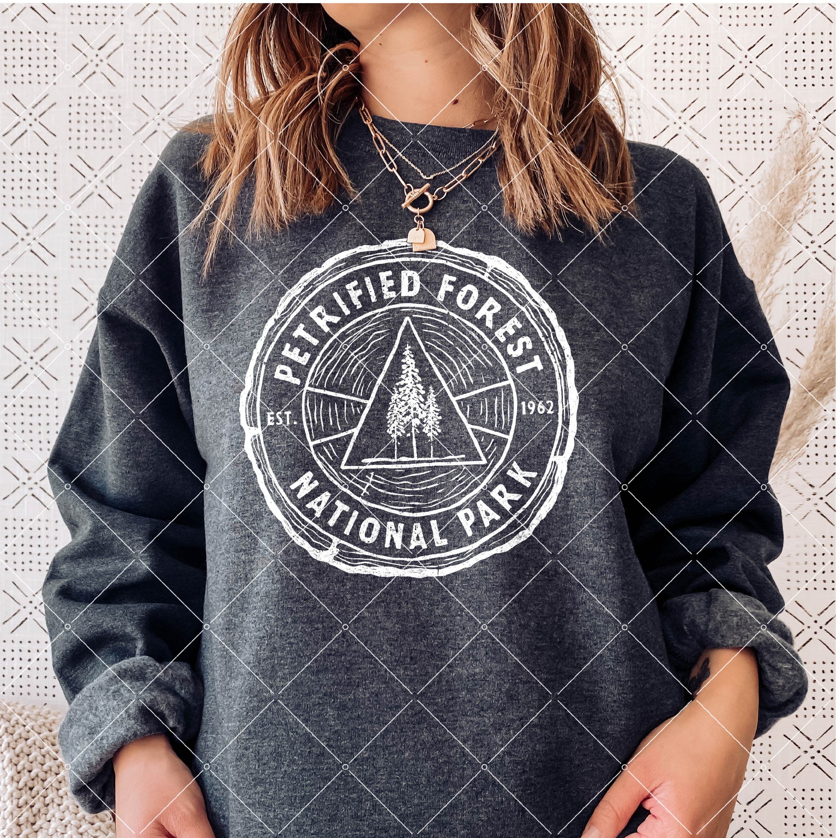 Petrified Forest National Park Png Digital Download Bundle Png Bundle