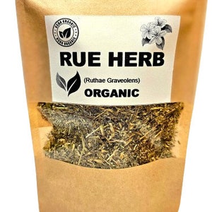 Organic RUE Ruta Graveolens Herbal Tea Rue Tea Healing Protection Dried Herbs Organic Herbs Herba Tea image 1