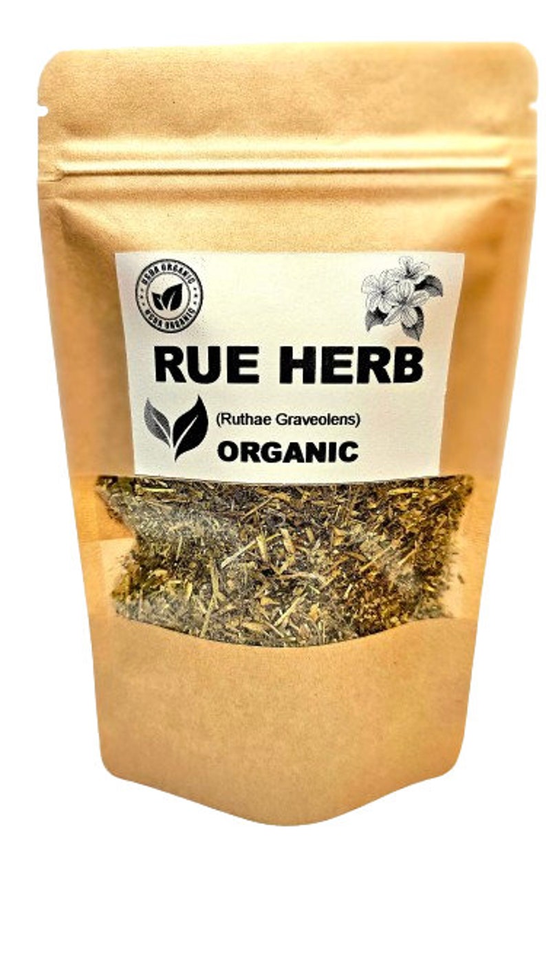 Organic RUE Ruta Graveolens Herbal Tea Rue Tea Healing Protection Dried Herbs Organic Herbs Herba Tea image 1