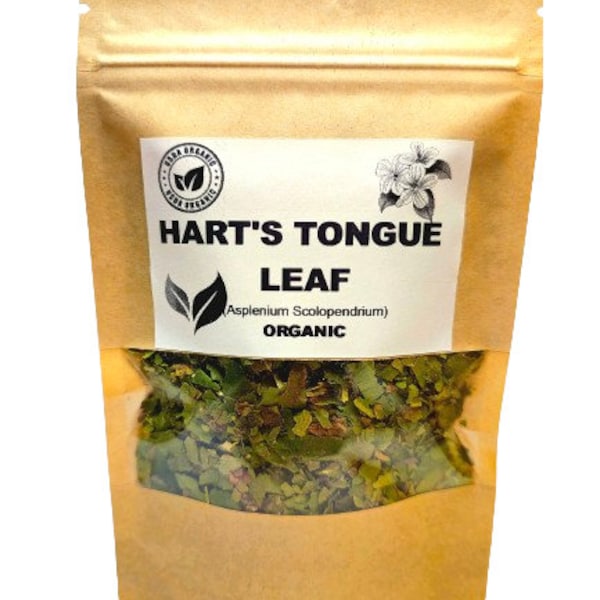 Organic HART'S TONGUE LEAF | Asplenium Scolopendrium | Hart's Tongue Fern Leaf | Harts Tongue Tea | Herbal Tea | Organic Herbs | Herba | Tea