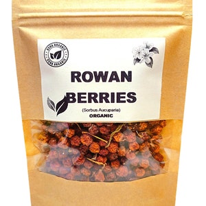 Organic ROWAN BERRIES | Sorbus Aucuparia | Rowan Tea | Herbal Tea Mountain Ash Berries | Dried Berries | Organic Herb | Herba | Tea