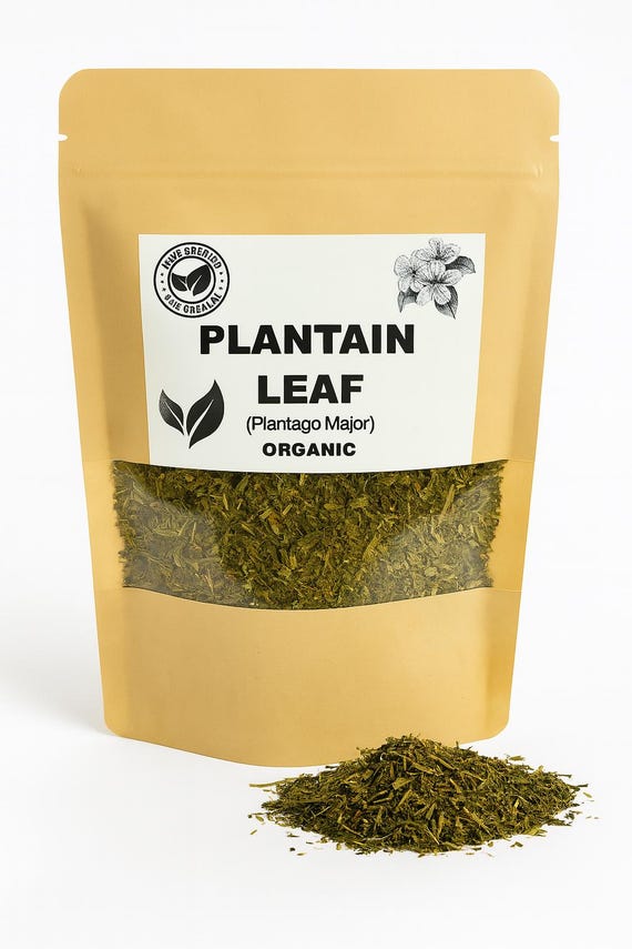 Nettle Leaves Dried 4 Oz | Nettle Leaf Tea | Cut And Sifted | Stinging Nettle Herb Bulk | Non- Gmo, Ethically Sourced | By Yogi's Gift - Foto 4