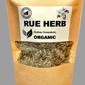 Organic RUE Ruta Graveolens Herbal Tea Rue Tea Healing Protection Dried Herbs Organic Herbs Herba Tea image 4