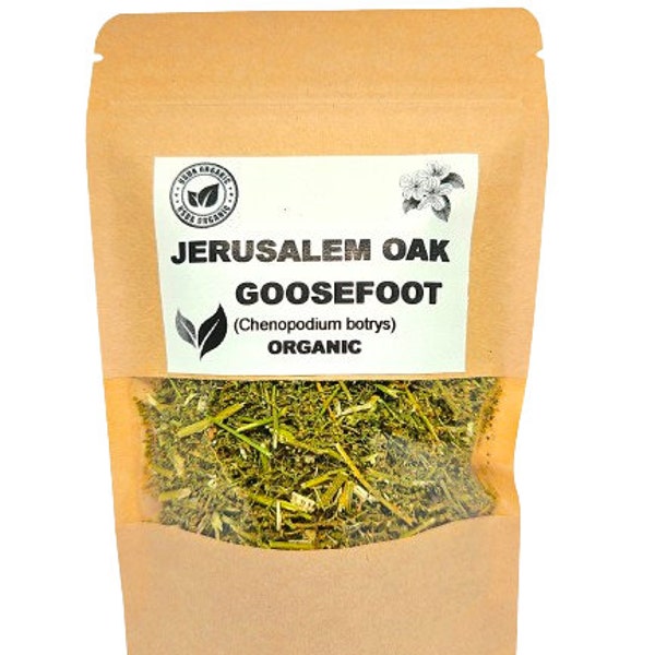 Organic JERUSALEM OAK GOOSEFOOT | Chenopodium botrys | Dysphania botrys | Sticky Goosefoot | Feathered Geranium | Herbal Tea | Organic Herbs