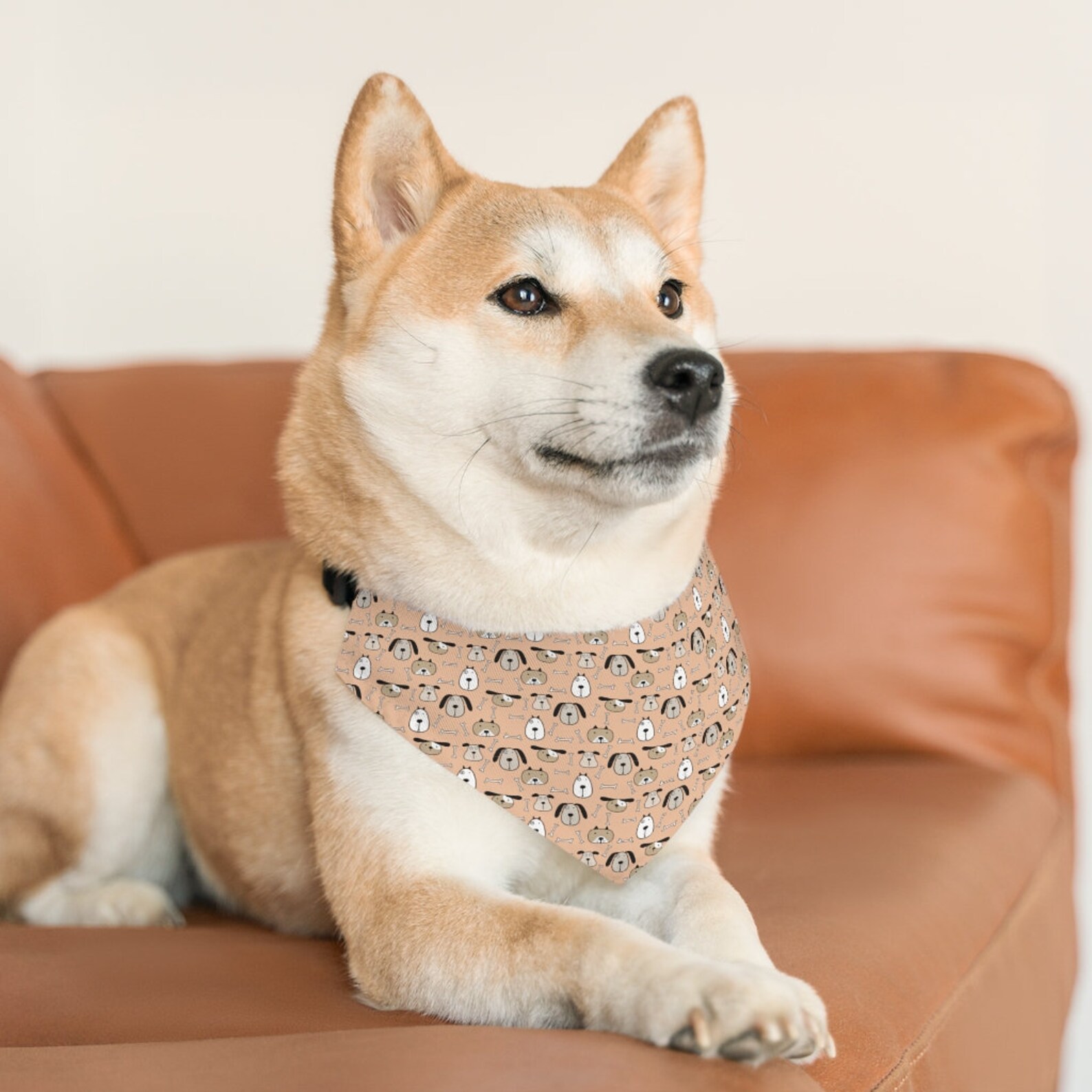 pfirsisch hund