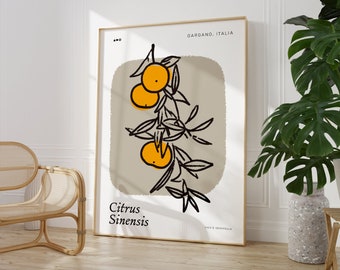 Italian Orange Tree Poster | Physical Print | Aesthetic | Boho | Wall Art | Beach Town | Coastal Mediterranean