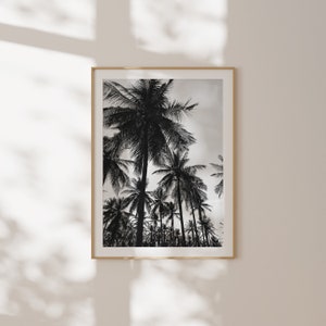 Palm Tree Rows Photography Print | Physical Print | Aesthetic | Travel | Wall Art | Beach