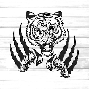 fierce tiger scratch svg / tiger face claw scratch clip art / tiger png / sharp claw rip wall