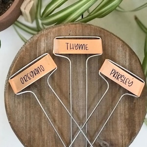 May include: A wooden garden marker set with three metal labels. The labels read "Thyme", "Oregano", and "Parsley" in black script. The markers are set in a round, wooden base. The background includes green plants.