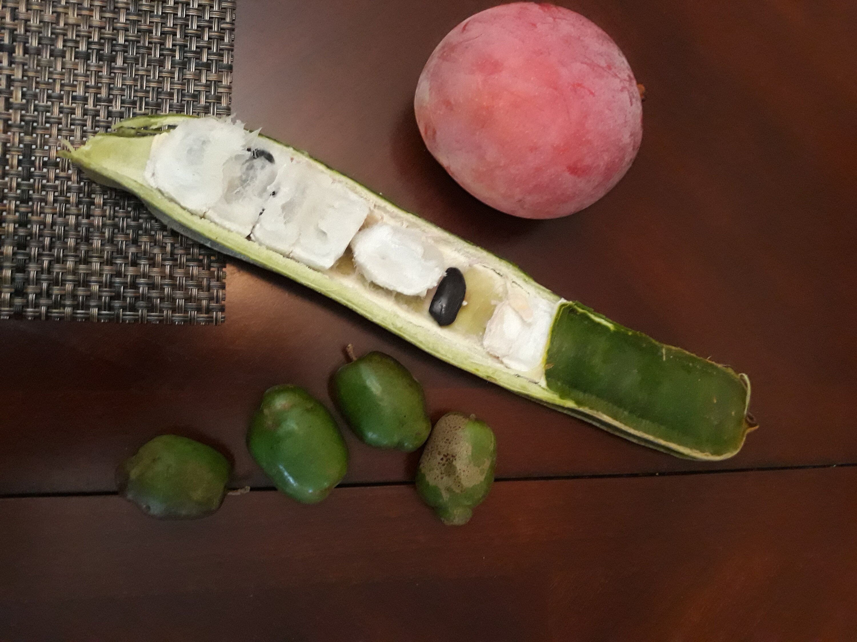 FRESH Rare Guama/ Pacay/ice cream bean fruit 6 for 50dollars Etsy
