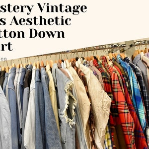 Mystery Box Vintage 90s Long Sleeve Button Down Shirt