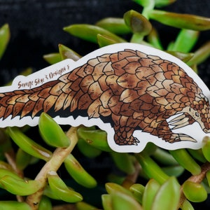 Pangolin Sticker | 4.72&quot; x 2.00&quot;