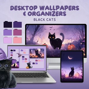 May include: Desktop wallpapers and organizers featuring black cats in a spooky forest setting. The set includes a laptop wallpaper, a phone wallpaper, and a set of folder icons. The folder icons are in shades of purple, pink, and lavender.
