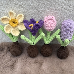 Peut inclure: Quatre fleurs crochetées : une jonquille, un crocus, une tulipe et une jacinthe. La jonquille a des pétales crème et un centre jaune. Le crocus est violet avec un centre jaune. La tulipe est rose et la jacinthe est lavande. Chaque fleur a une tige verte et est dans un pot marron.