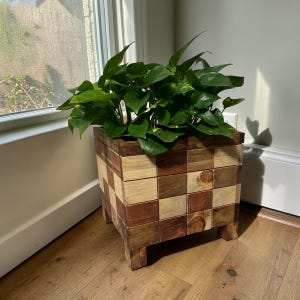 May include: A square wooden planter with a checkerboard pattern of light and dark wood tones. The planter is filled with lush green leafy plants. The planter sits on four short legs and is near a window.