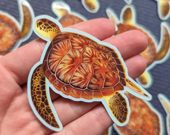 Turtle vinyl stickers