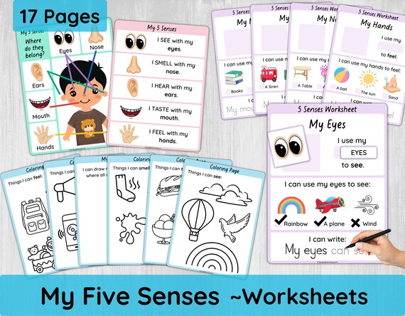 five senses worksheets for preschool toddler 5 senses etsy