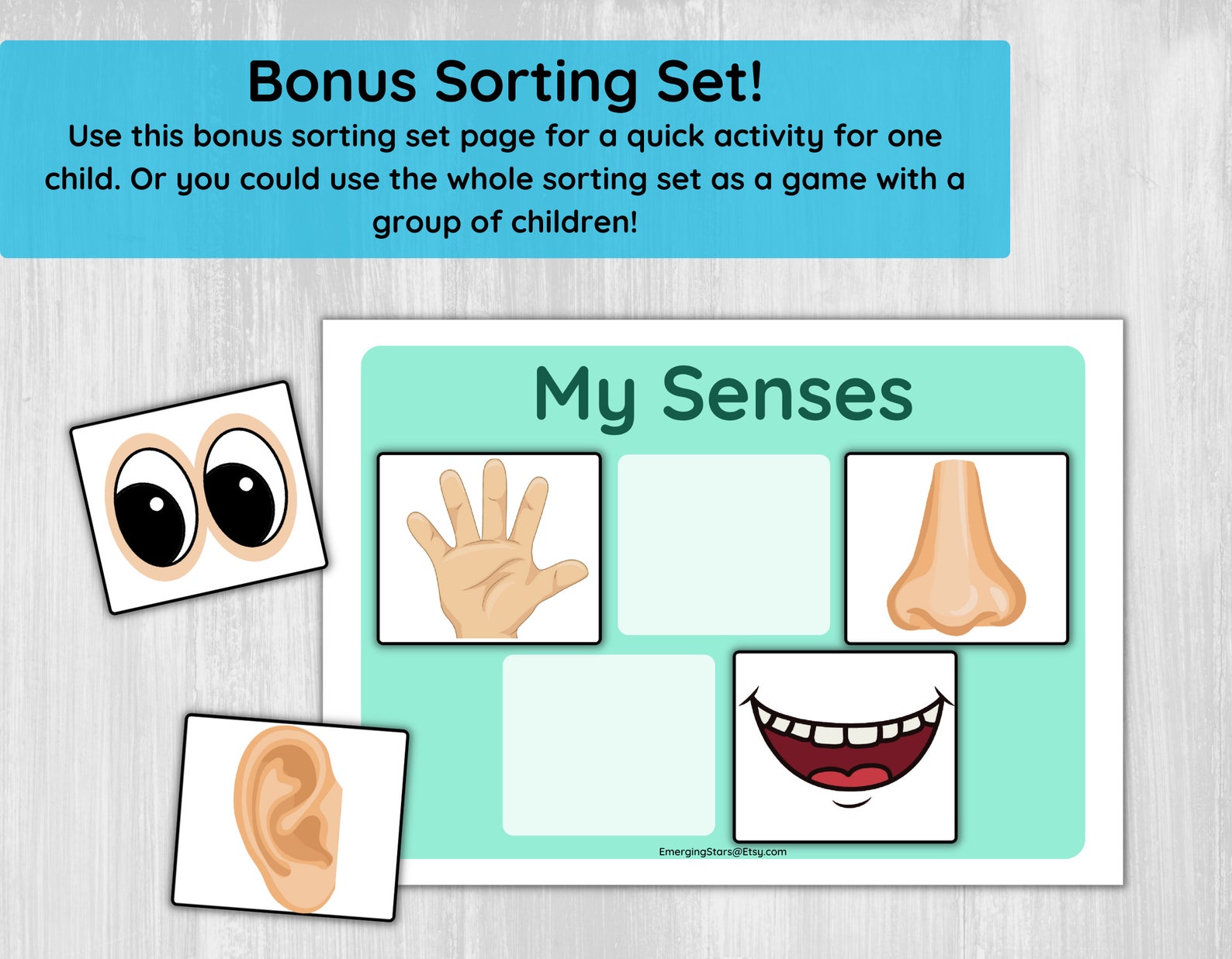 Five Senses Sorting Activity Printable/ Preschool Five Senses for ...