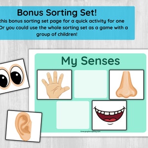 Five Senses Sorting Activity Printable/ Preschool Five Senses for ...