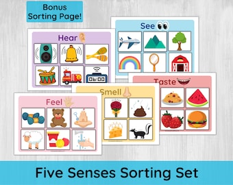 Five Senses Sorting Activity Printable/ Preschool Five Senses for Toddlers/ Busy Book Activities/ Matching and Sorting Game/ About my Body