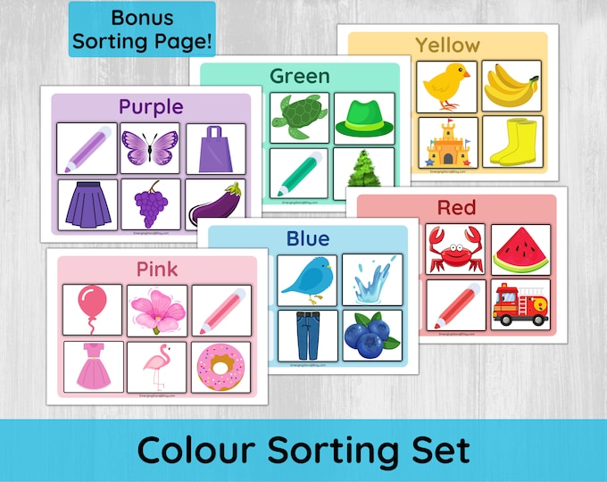 Color Sorting Activity,preschool Color Matching Game,montessori Color ...