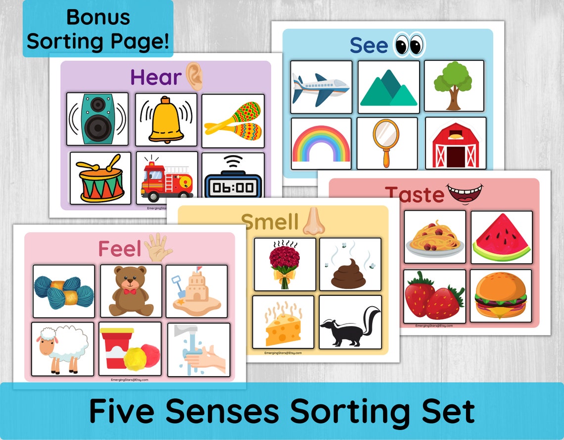 Five Senses Sorting Activity Printable/ Preschool Five Senses - Etsy