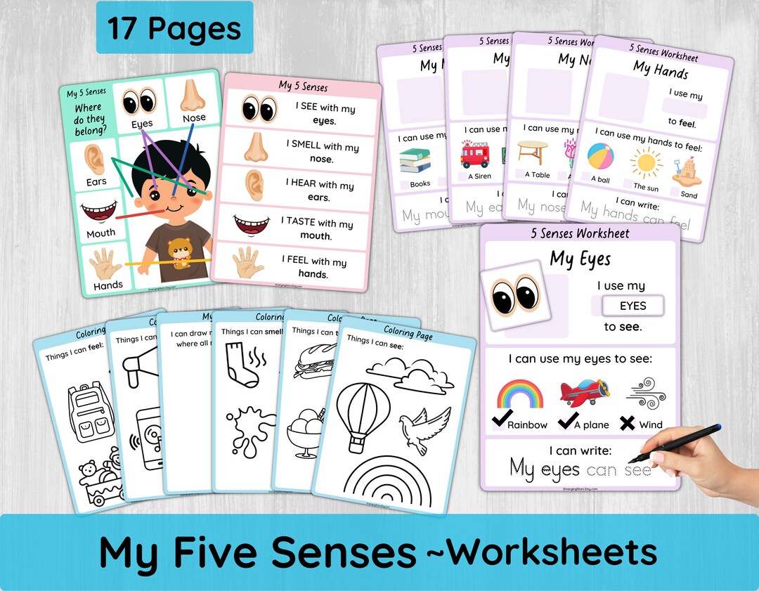 Five Senses Worksheets for Preschool/ Toddler 5 Senses Activity ...