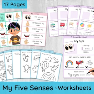 Five Senses Worksheets for Preschool/ Toddler 5 Senses Activity Printable/ Learn 5 Senses Sorting/ Coloring Pages/ My Body Parts/ Busy Book