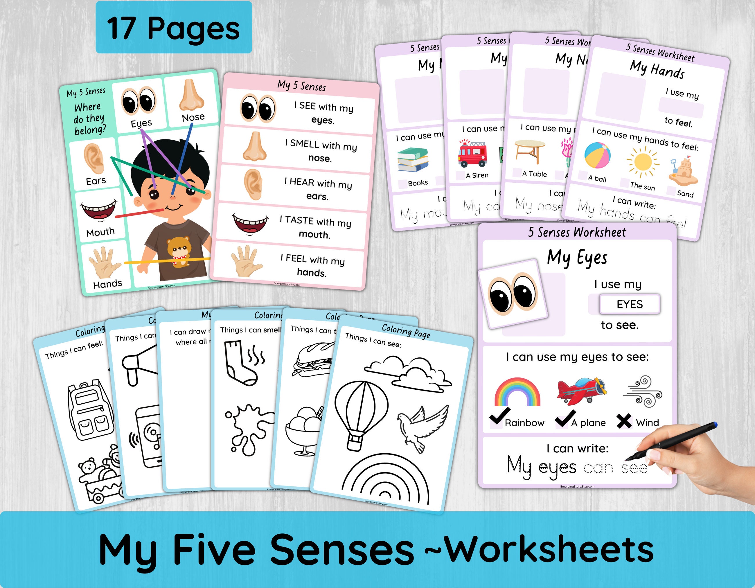 Five Senses Worksheets for Preschool/ Toddler 5 Senses Activity Printable/ Learn 5 Senses Sorting/ Coloring Pages/ My Body Parts/ Busy Book