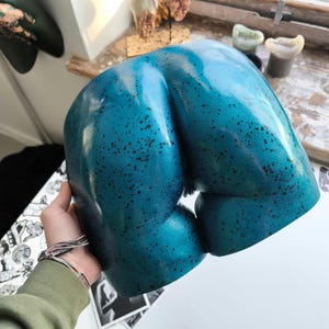 Lifecast Female Vulva Sculpture- Sexy Wall Art