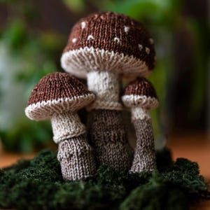 Könnte beinhalten: Drei gestrickte Pilze in Braun und Weiß. Die Pilze sind in einer Gruppe angeordnet, wobei der größte Pilz hinten und der kleinste Pilz vorne ist. Die Pilze stehen auf einem Bett aus grünem Moos.