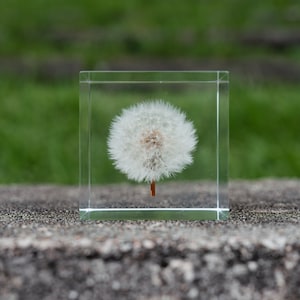 Rosewood Round Block Paperweight DIY Keychain Ches... - Grandado