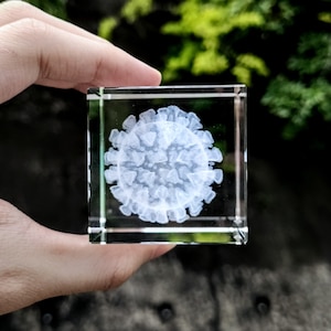 May include: A clear glass cube with a 3D image of a white virus inside. The cube is being held in a hand.