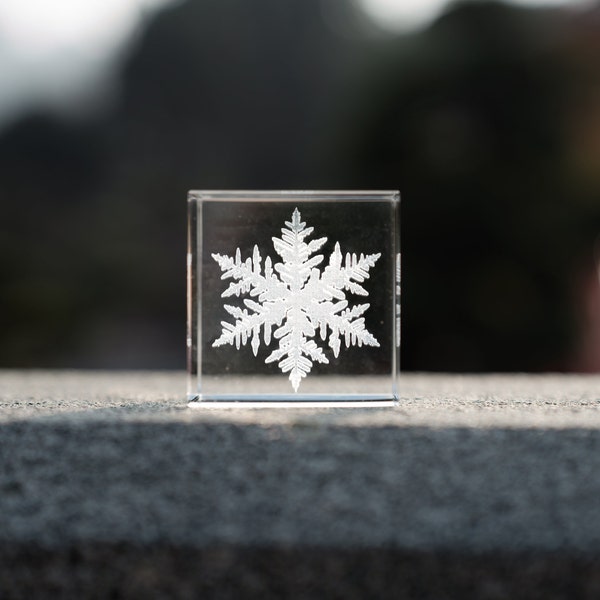Winter snowflake cube, snow cube, paperweight, christmas snow home decor room decoration shelf sitter ambient builder decor