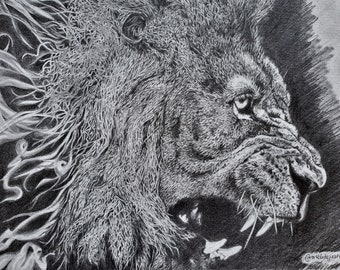 Roaring Lion Drawing Etsy