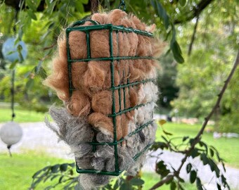 May include: A brown and gray suet feeder hanging from a tree branch. The feeder is made of wire mesh and is filled with suet, a type of bird food.