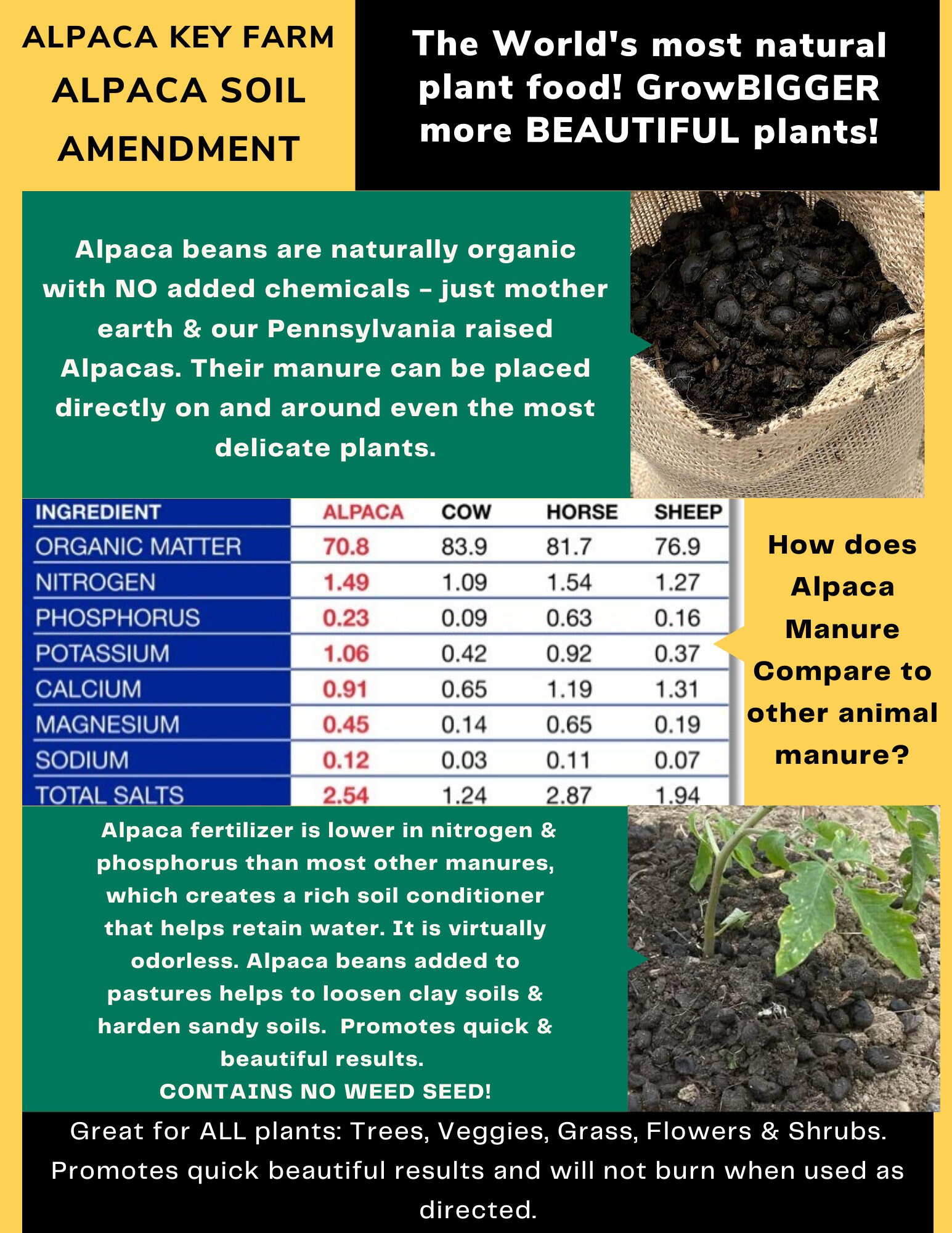 Alpaca Beans, Alpaca Manure, Alpaca Poop, Plant Fertilizer, Soil