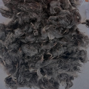 May include: A large pile of raw, unspun animal fiber in shades of dark charcoal gray, slate, and silver. The texture is coarse, curly, and matted, consisting of loose clumps of hair with varying lengths and densities spread across a white mesh surface.