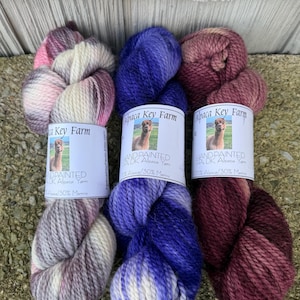 May include: Three skeins of hand-painted DK alpaca yarn from Alpaca Key Farm. The left skein is white with pink and grey variegation, the center is blue and white, and the right is a solid deep burgundy. Each label features an alpaca image.
