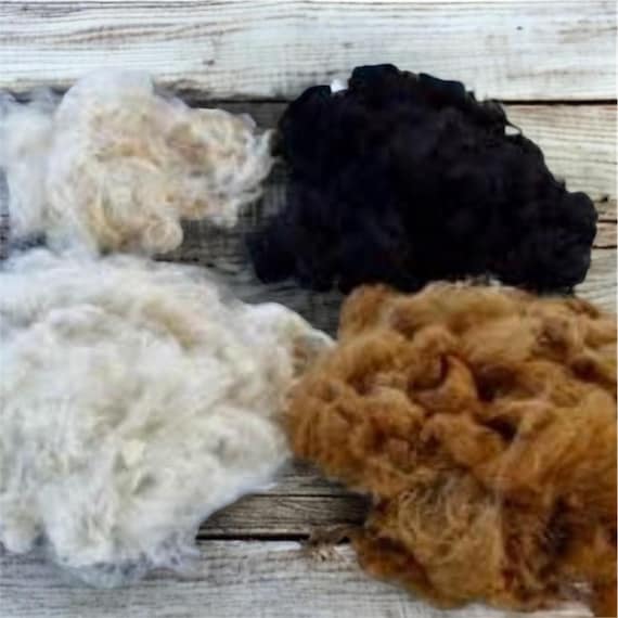 Raw Alpaca Fiber Spinning Huacaya, Alpaca Fleece for Spring, Bird 