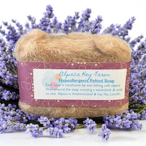 Wool Felted Soap, Handmade Soap Gifts, Hypoallergenic Alpaca Soap, Felted Soap Bar, Felted Soap Lady, Exfoliating goat milk soap, Gift Mom