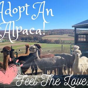 Adopt an Alpaca, Sponsor and Animal, Support Local Farmers, Alpaca Love, Animal Lover Gift, Unique Gifts for Mom, Sponsorship Package