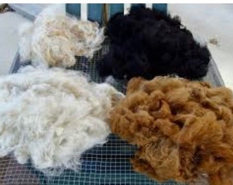 Raw Alpaca Fleece, Raw Alpaca Fiber, Alpaca Wool, Bird Nesting Material, Felting Supplies, Felting Wool, Fiber for Spinning, Alpaca Roving